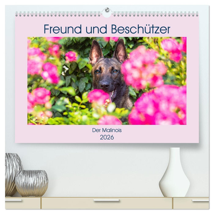 Freund und Beschützer - Der Malinois (CALVENDO Premium Wandkalender 2026)