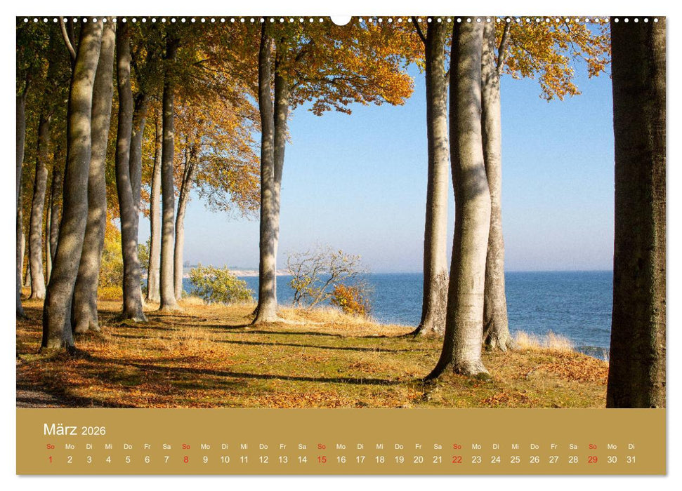 Mön, Impressionen einer dänischen Insel (CALVENDO Premium Wandkalender 2026)