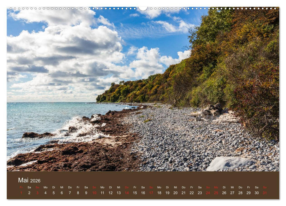 Mön, Impressionen einer dänischen Insel (CALVENDO Premium Wandkalender 2026)