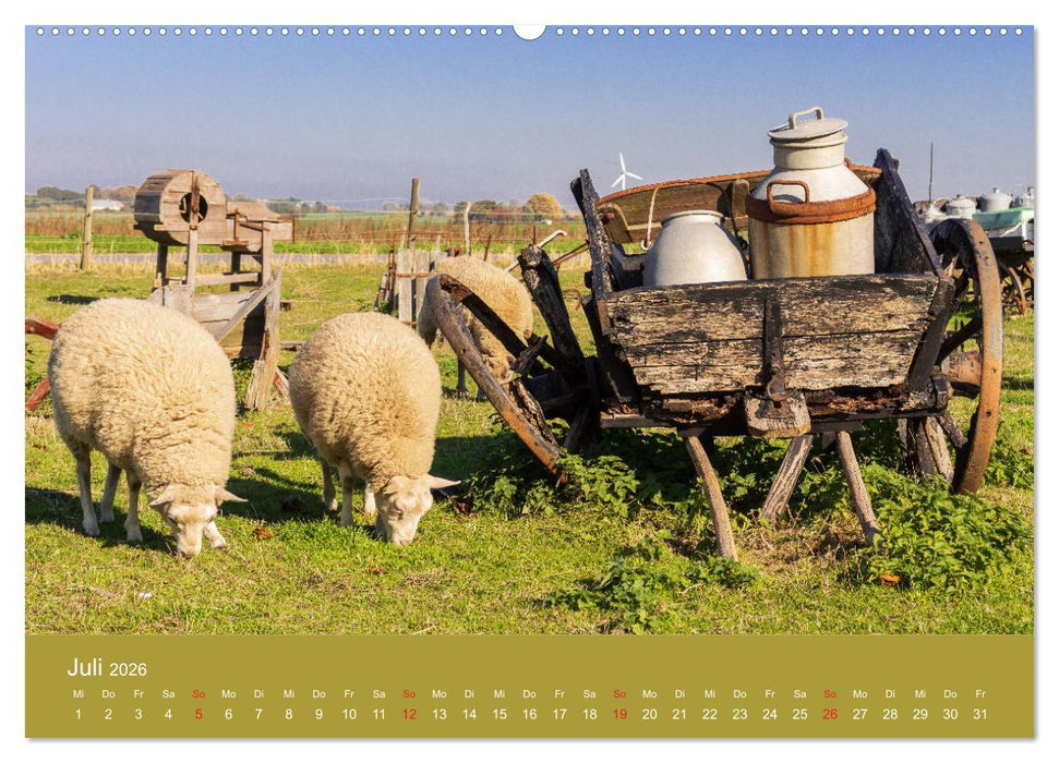 Mön, Impressionen einer dänischen Insel (CALVENDO Premium Wandkalender 2026)