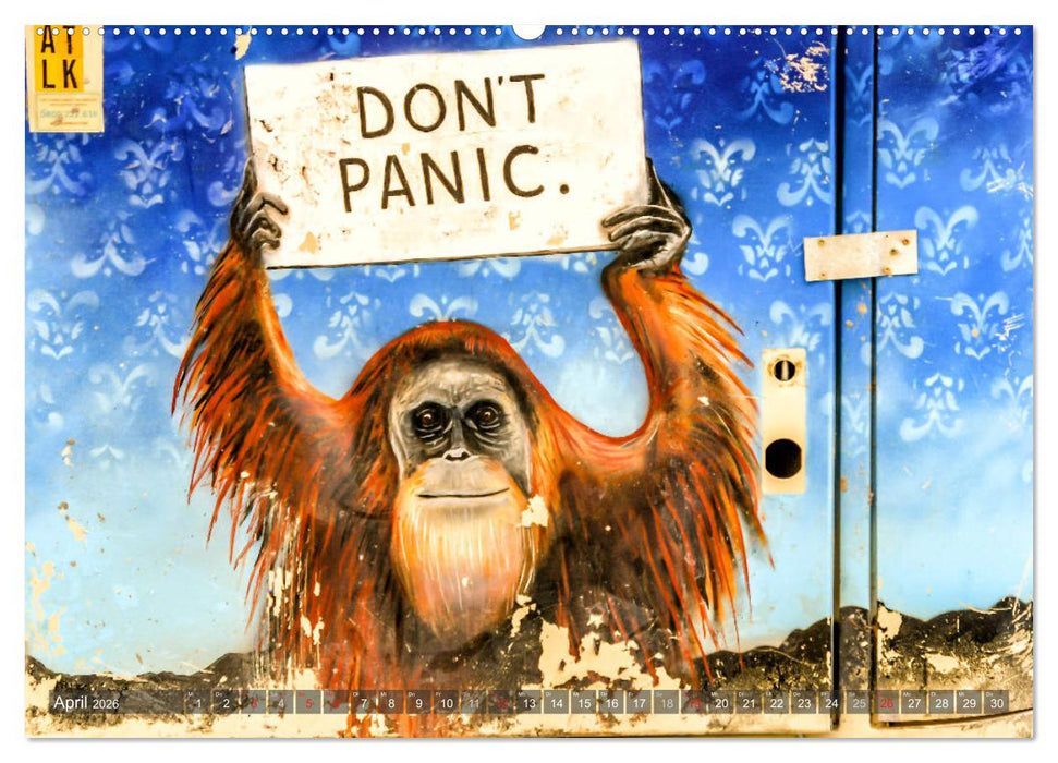 Streetart international (CALVENDO Premium Wandkalender 2026)