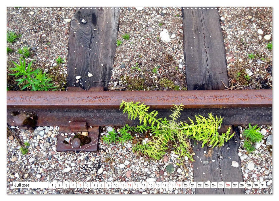 Schienen ins Nichts - Ein Stück ostpreußischer Eisenbahngeschichte (CALVENDO Premium Wandkalender 2026)