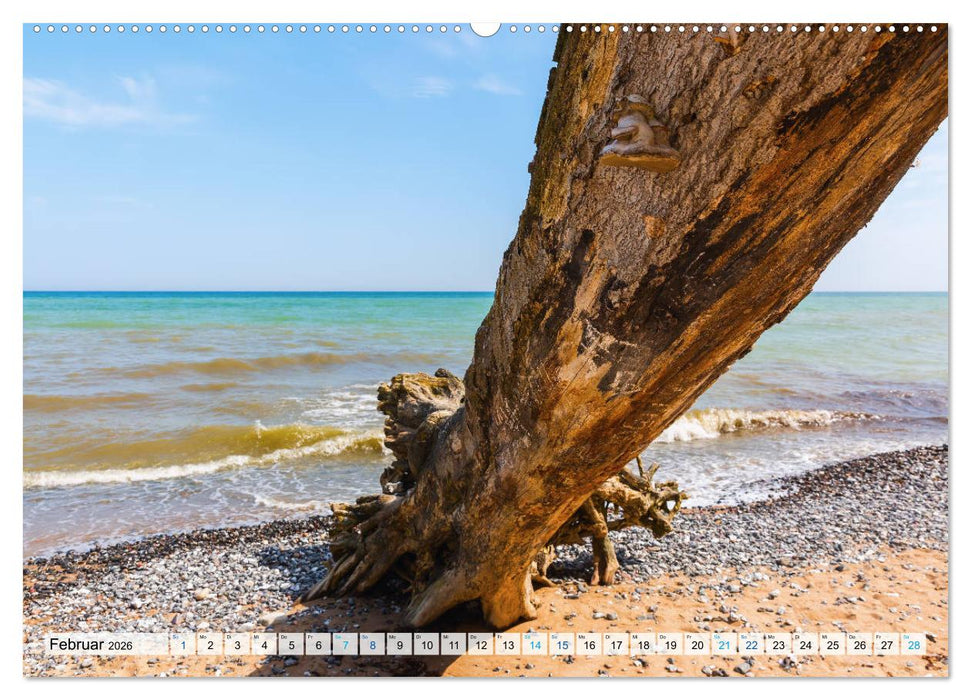 Rügen in Bildern (CALVENDO Premium Wandkalender 2026)