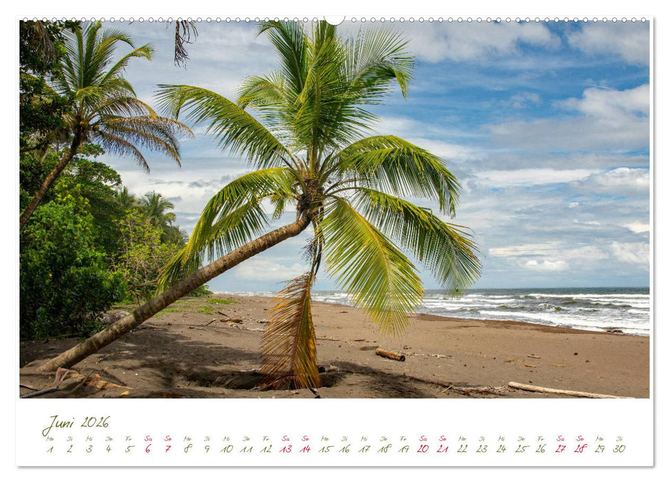 Meer geht immer (CALVENDO Wandkalender 2026)