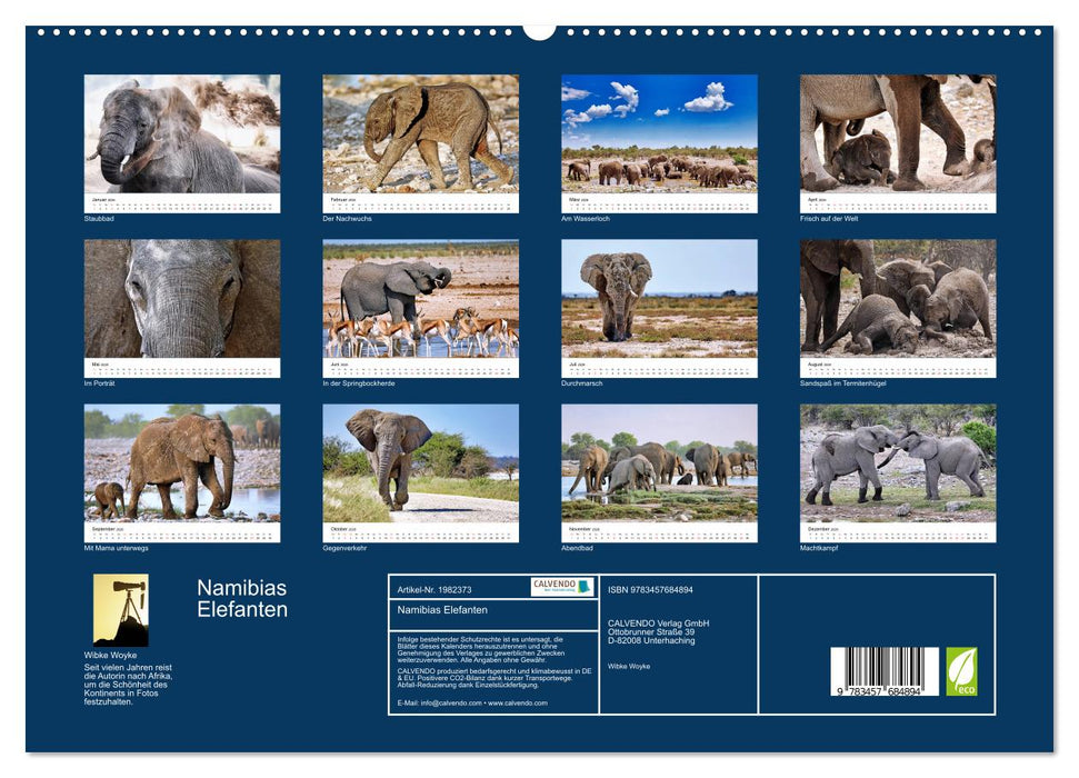 Namibias Elefanten (CALVENDO Premium Wandkalender 2026)