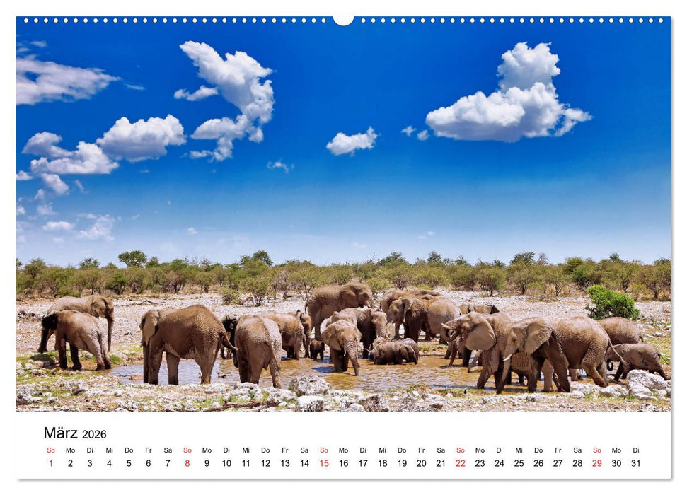 Namibias Elefanten (CALVENDO Premium Wandkalender 2026)