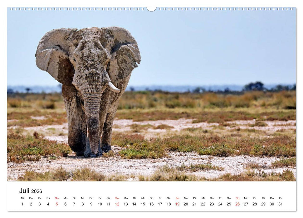 Namibias Elefanten (CALVENDO Premium Wandkalender 2026)