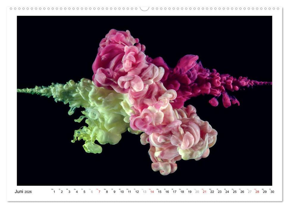 Farbexplosionen (CALVENDO Wandkalender 2026)