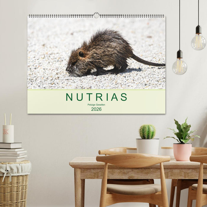 NUTRIAS - Pelzige Gesellen (CALVENDO Wandkalender 2026)