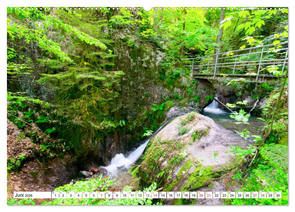 Idyllischer Schwarzwald (CALVENDO Premium Wandkalender 2026)
