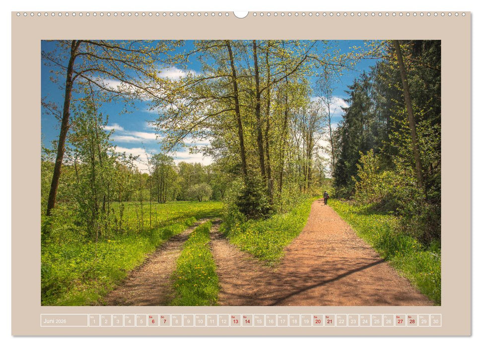 Vogtland - 900 Jahre Plauen (CALVENDO Wandkalender 2026)