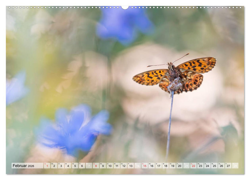 Magie der Schmetterlinge (CALVENDO Premium Wandkalender 2026)