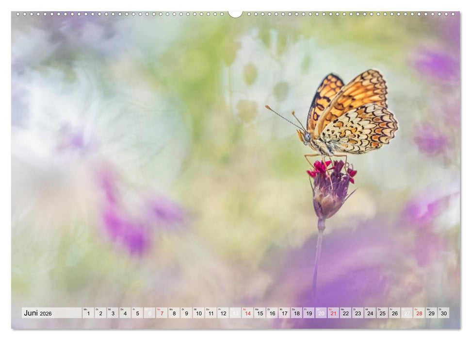 Magie der Schmetterlinge (CALVENDO Premium Wandkalender 2026)