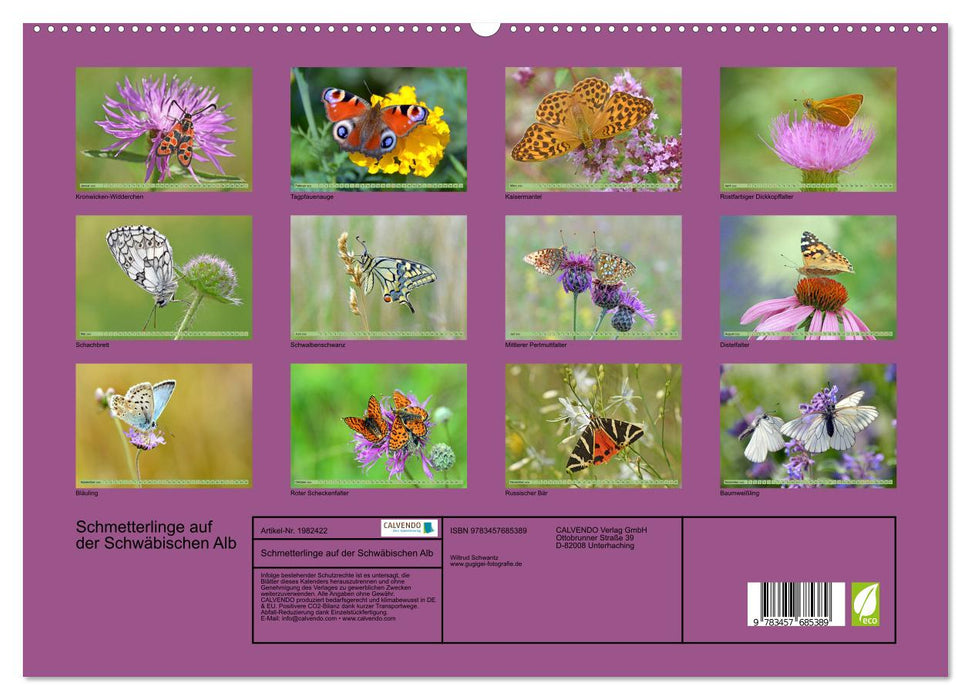 Schmetterlinge auf der Schwäbischen Alb (CALVENDO Premium Wandkalender 2026)