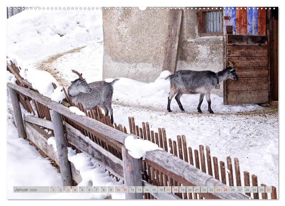 Bergell - Bergaglia (CALVENDO Premium Wandkalender 2026)