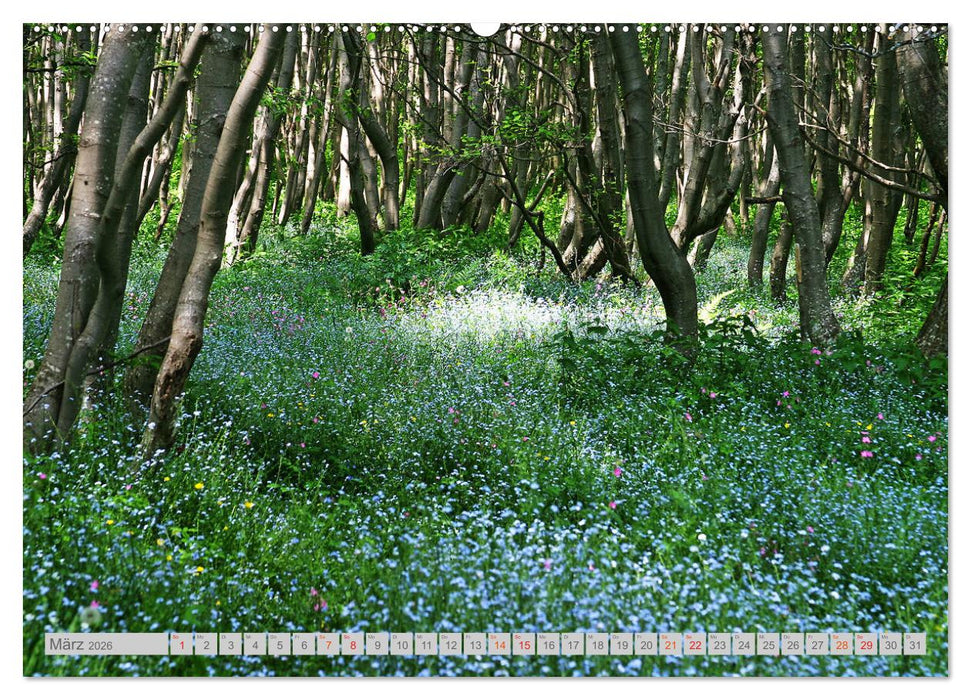 Bergell - Bergaglia (CALVENDO Premium Wandkalender 2026)