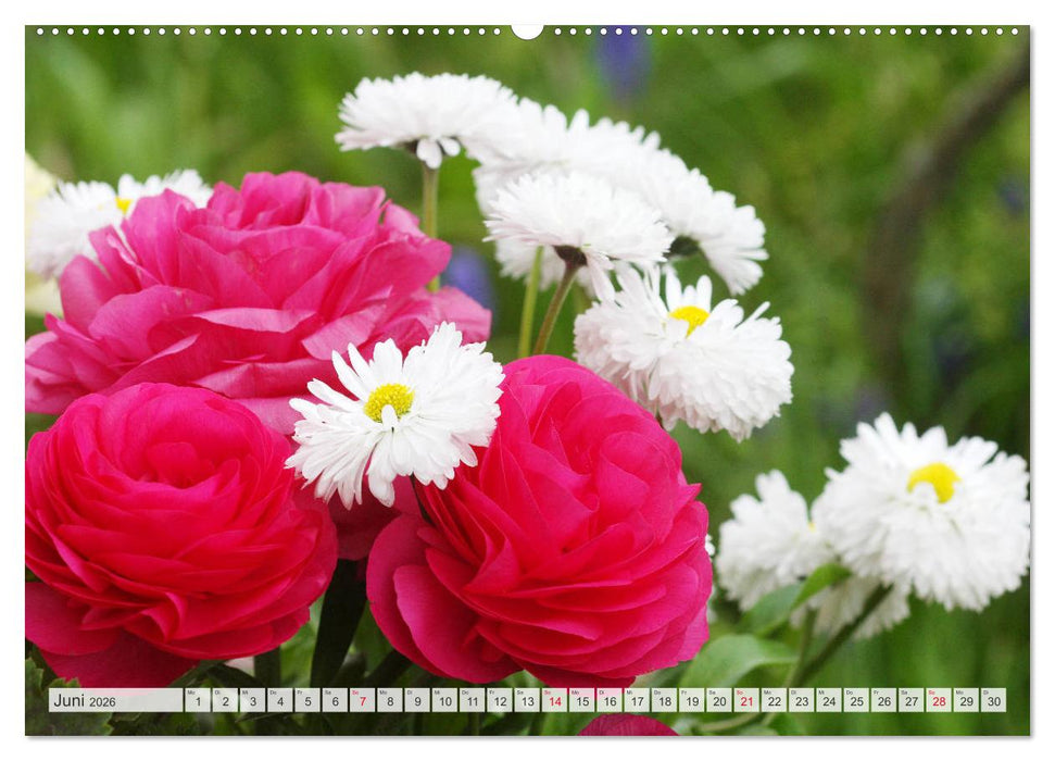 Roter Glanz Blütenpracht (CALVENDO Premium Wandkalender 2026)