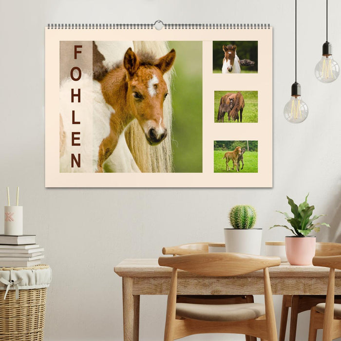 Fohlen, glücklich in der Herde (CALVENDO Wandkalender 2026)