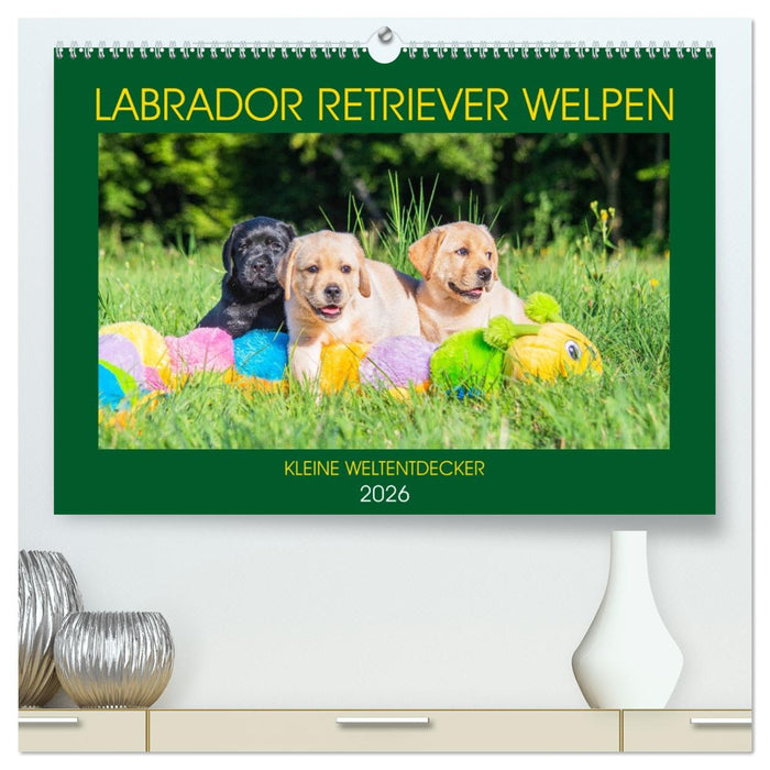 Labrador Retriever Welpen - Kleine Weltentdecker (CALVENDO Premium Wandkalender 2026)