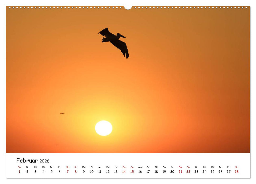 Eine Reise ins magische Donaudelta (CALVENDO Premium Wandkalender 2026)