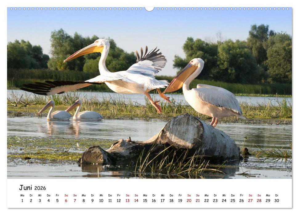 Eine Reise ins magische Donaudelta (CALVENDO Premium Wandkalender 2026)