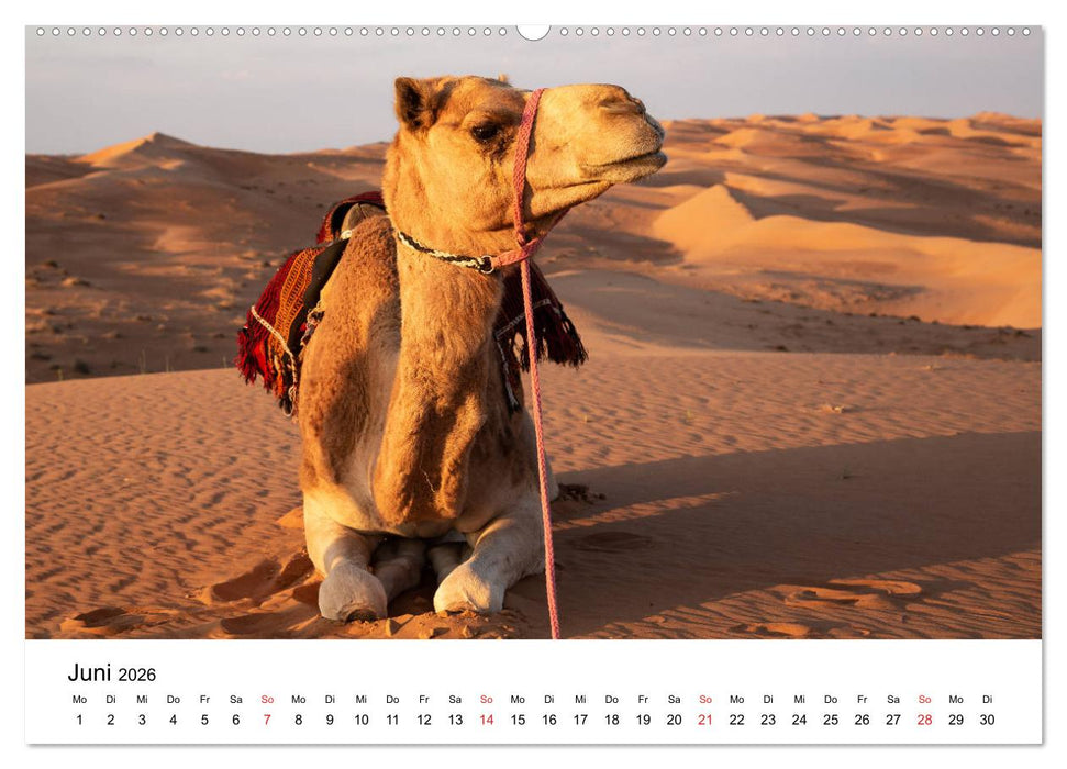 Oman - Pures Arabien (CALVENDO Wandkalender 2026)