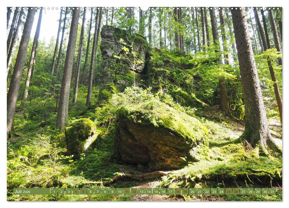 Bad Sachsa - Landschaftsmomente im Südharz (CALVENDO Premium Wandkalender 2026)