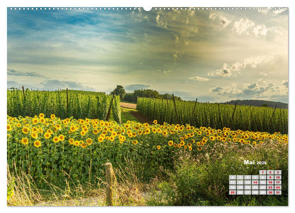 Hopfenland Holledau (CALVENDO Premium Wandkalender 2026)