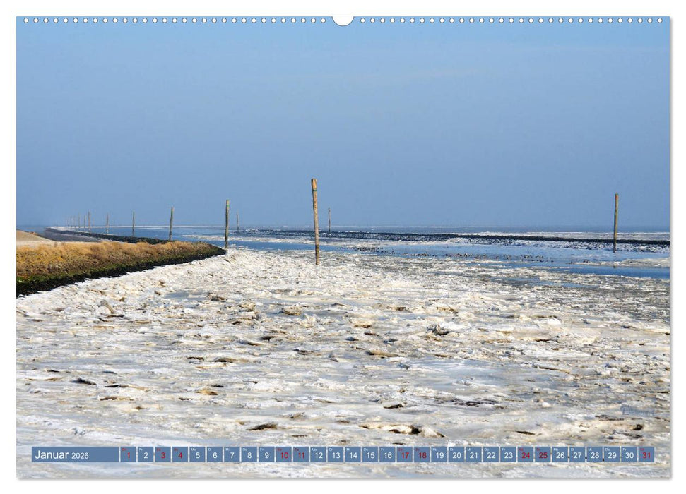 Niedersachsen - Malerische Landschaften (CALVENDO Premium Wandkalender 2026)