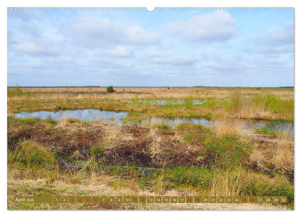 Niedersachsen - Malerische Landschaften (CALVENDO Premium Wandkalender 2026)