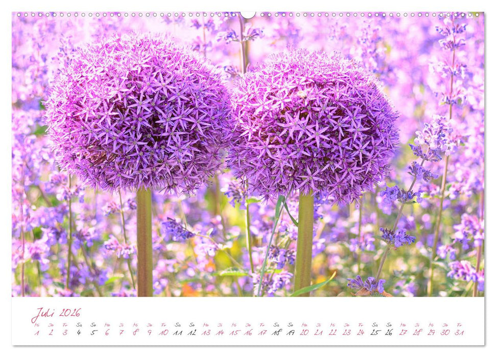 Blütenträume in violett und pink (CALVENDO Premium Wandkalender 2026)