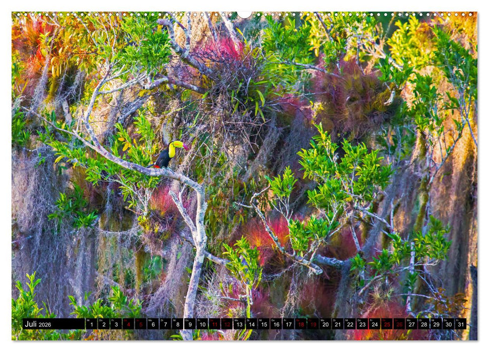 Guatemala - das Herz des Mayareiches (CALVENDO Premium Wandkalender 2026)