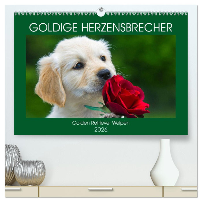 Goldige Herzensbrecher - Golden Retriever Welpen (CALVENDO Premium Wandkalender 2026)