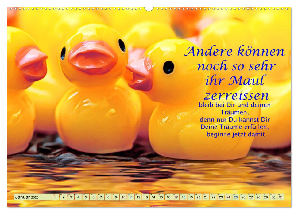 Spruchkalender - schau rein (CALVENDO Premium Wandkalender 2026)