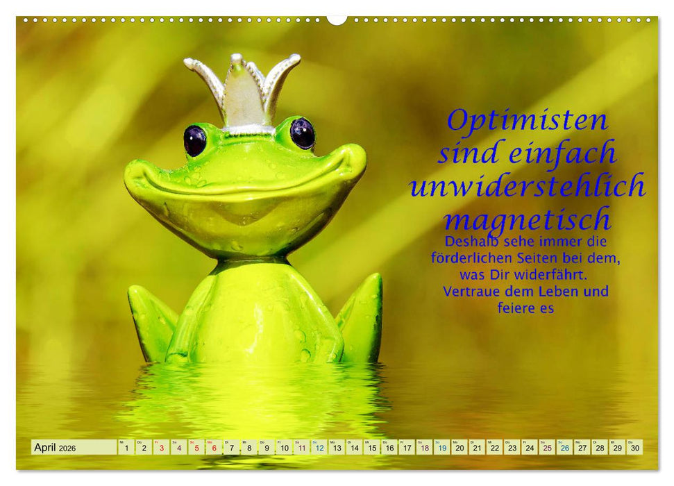 Spruchkalender - schau rein (CALVENDO Premium Wandkalender 2026)