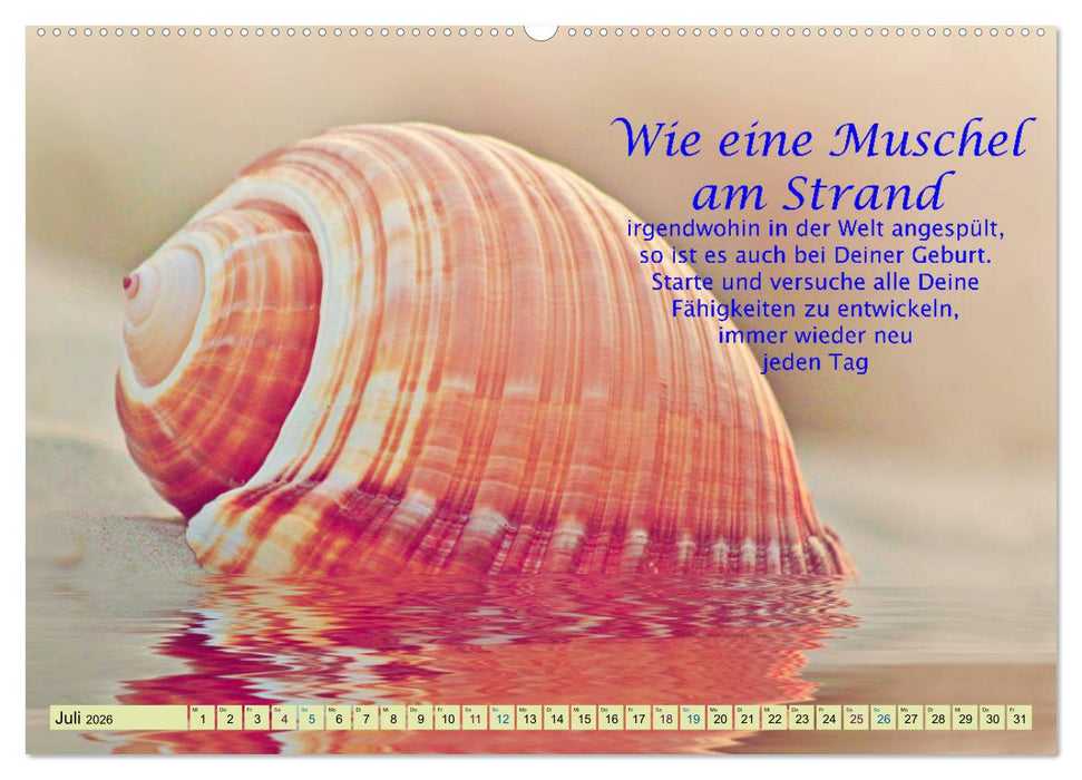 Spruchkalender - schau rein (CALVENDO Premium Wandkalender 2026)