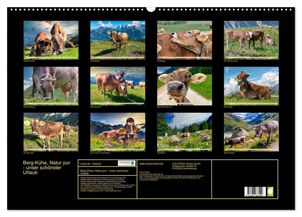 Berg-Kühe, Natur pur - unser schönster Urlaub (CALVENDO Wandkalender 2026)