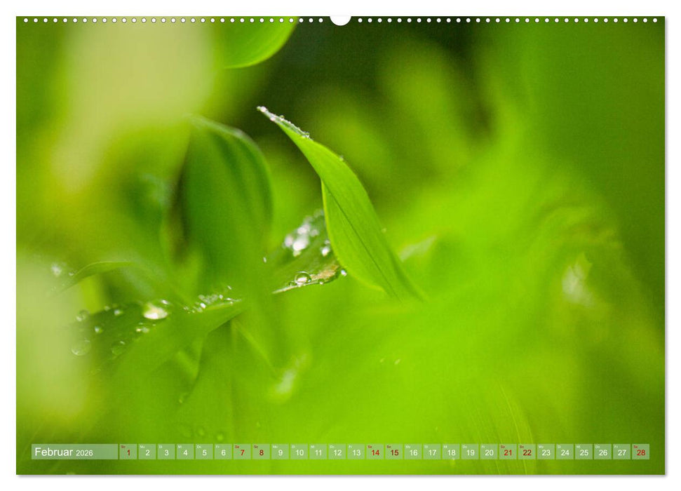 GRÜN Harmonie Wachstum Zufriedenheit (CALVENDO Premium Wandkalender 2026)