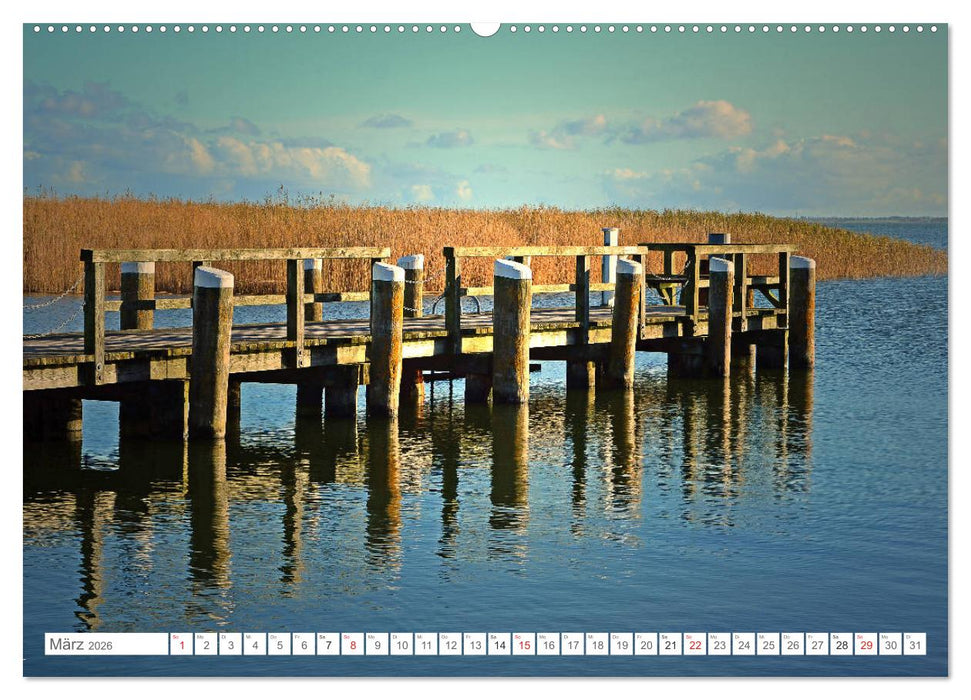 Faszination Fischland-Darß-Zingst (CALVENDO Premium Wandkalender 2026)