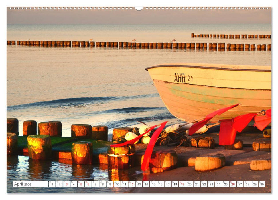 Faszination Fischland-Darß-Zingst (CALVENDO Premium Wandkalender 2026)