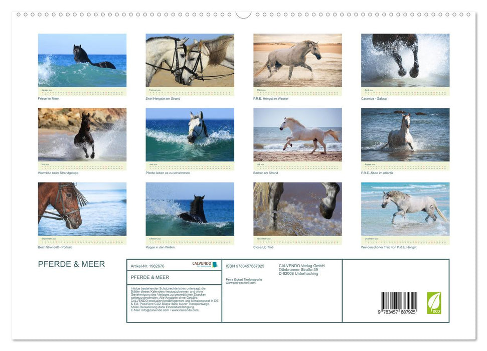 PFERDE & MEER (CALVENDO Premium Wandkalender 2026)