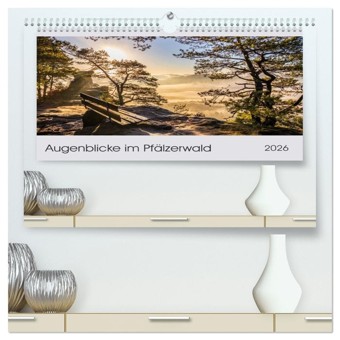 Augenblicke im Pfälzerwald (CALVENDO Premium Wandkalender 2026)