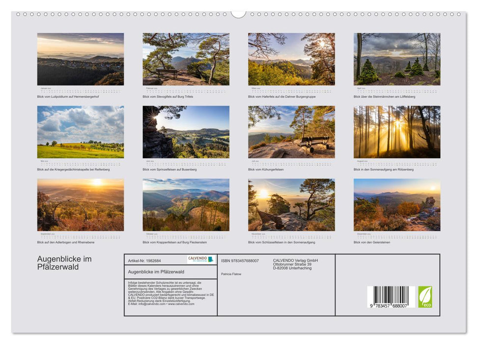 Augenblicke im Pfälzerwald (CALVENDO Premium Wandkalender 2026)