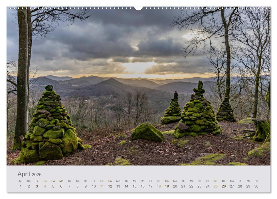 Augenblicke im Pfälzerwald (CALVENDO Premium Wandkalender 2026)