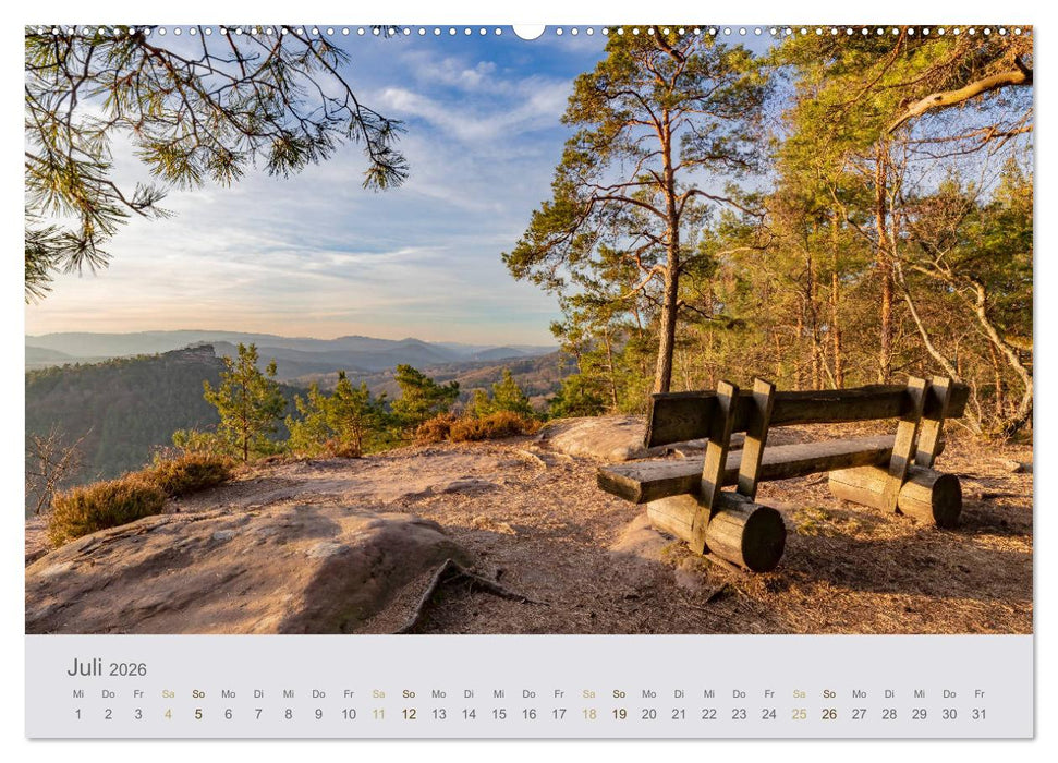Augenblicke im Pfälzerwald (CALVENDO Premium Wandkalender 2026)