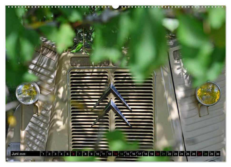 Citroën HY der Kult -Transporter (CALVENDO Premium Wandkalender 2026)