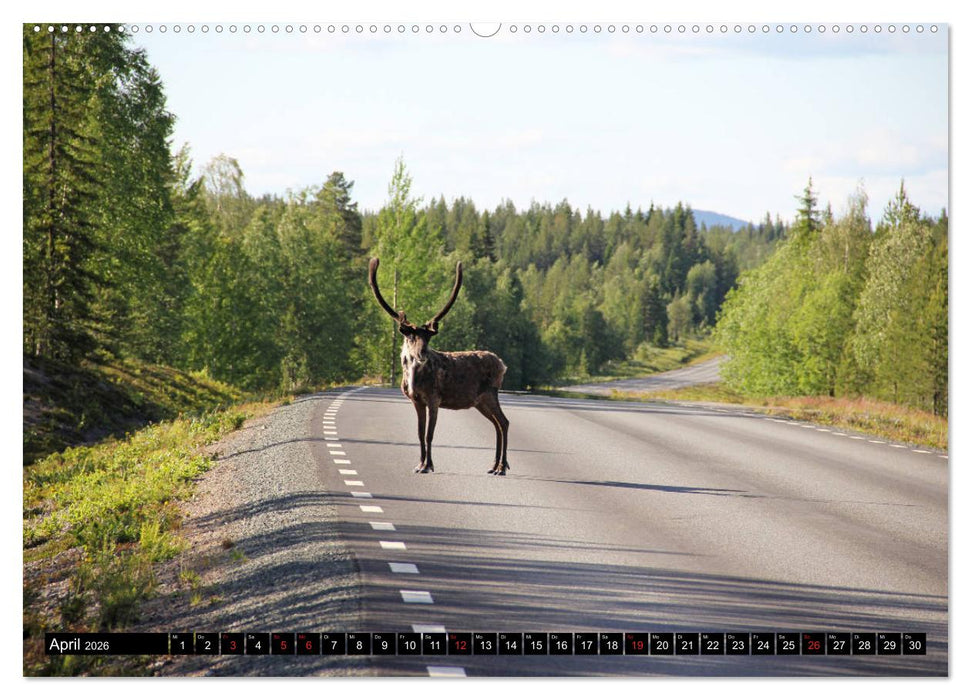 Sommer in Schwedens Lappland (CALVENDO Premium Wandkalender 2026)