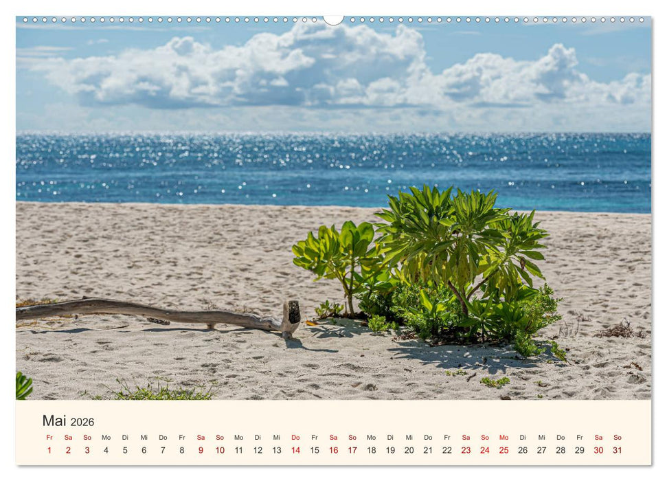 Sehnsucht Seychellen (CALVENDO Wandkalender 2026)
