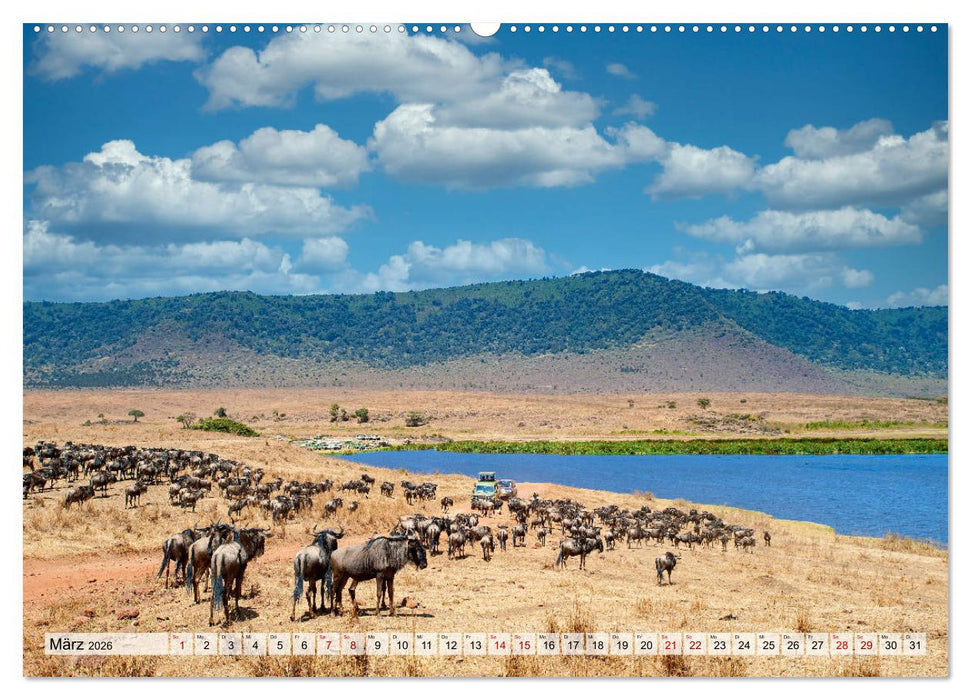 Die schönsten Vulkane Afrikas (CALVENDO Wandkalender 2026)