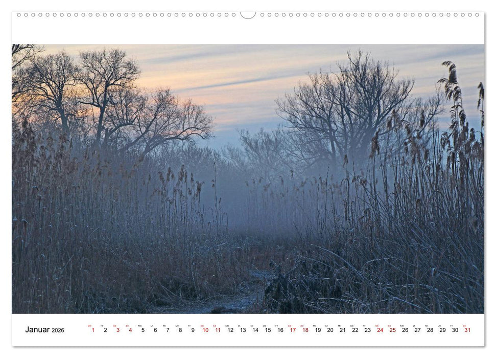 Hegau und See (CALVENDO Premium Wandkalender 2026)